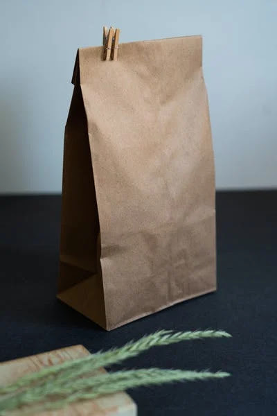 small business plan for paper bags